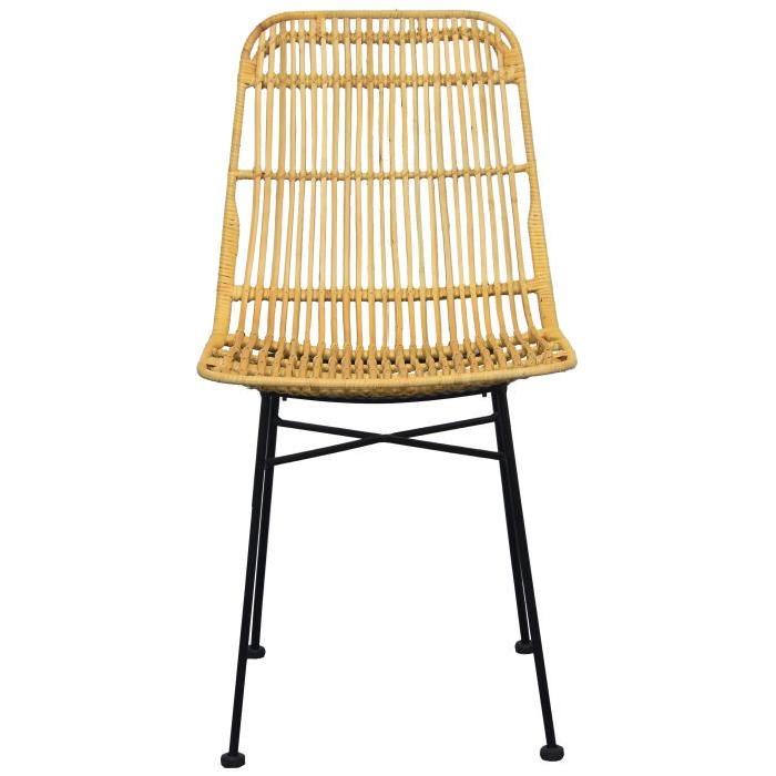 ELIA Lot de 2 chaises de salle a manger en métal noir - Rotin naturel - Industriel - L 44 x P 40 cm