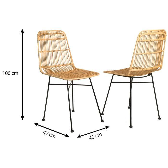 ELIA Lot de 2 chaises de salle a manger en métal noir - Rotin naturel - Industriel - L 44 x P 40 cm