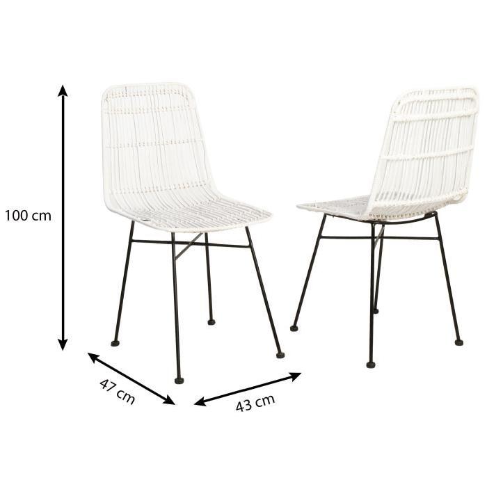 ELIA Lot de 2 chaises de salle a manger en métal noir - Rotin blanc - Industriel - L 44 x P 40 cm