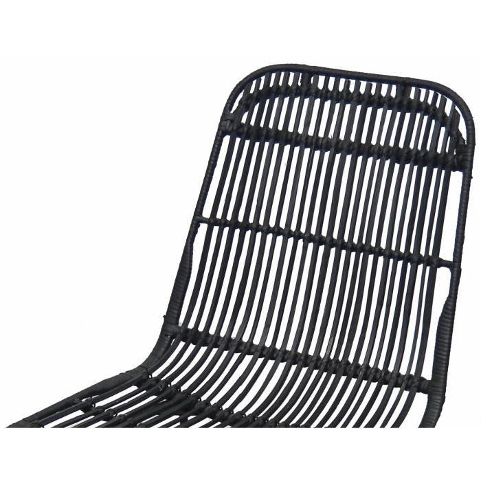 ELIA Lot de 2 chaises de salle a manger en métal noir - Rotin noir - Industriel - L 44 x P 40 cm