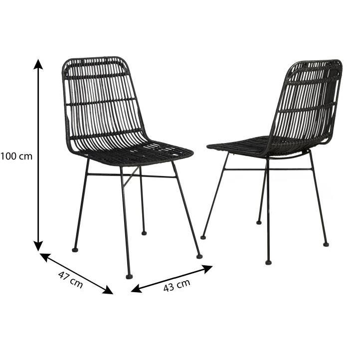 ELIA Lot de 2 chaises de salle a manger en métal noir - Rotin noir - Industriel - L 44 x P 40 cm