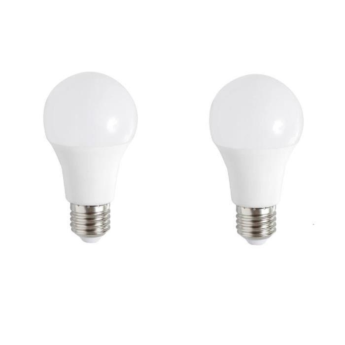 EXPERT LINE Lot de 2 ampoules LED E27 10 W équivalent a 60 W blanc chaud