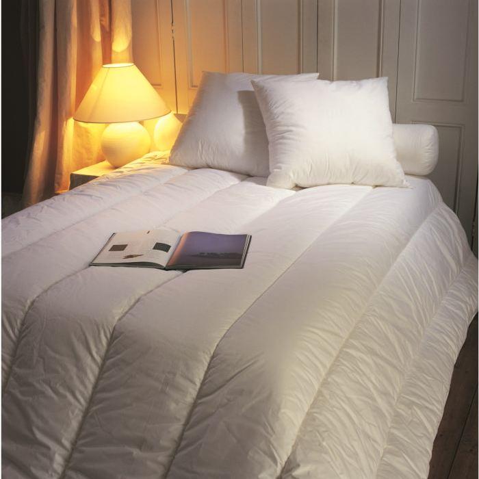 BLANREVE Couette chaude 400gm2 Anti-Acariens 200x200 cm blanc