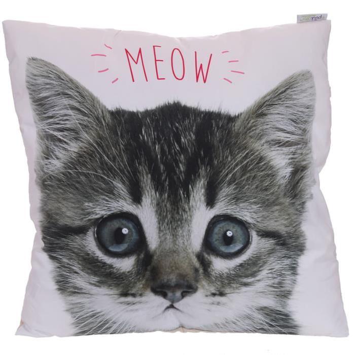 Coussin chaton - 50x50cm