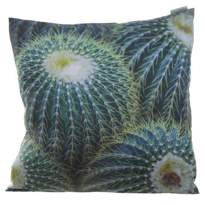 Coussin Photo Cactus - 50x50cm