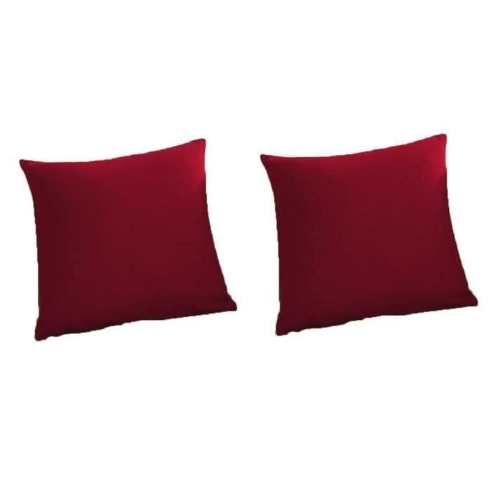 TODAY Lot de 2 coussins déhoussables 100% coton 40x40 cm pomme d'amour