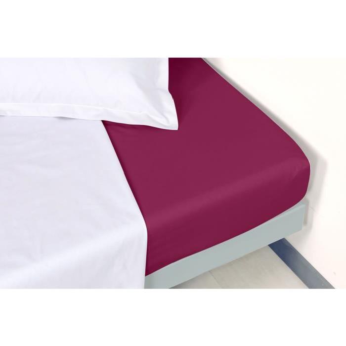 VENT DU SUD Drap housse Percale Manoir - Aubergine - 90x190x30 cm