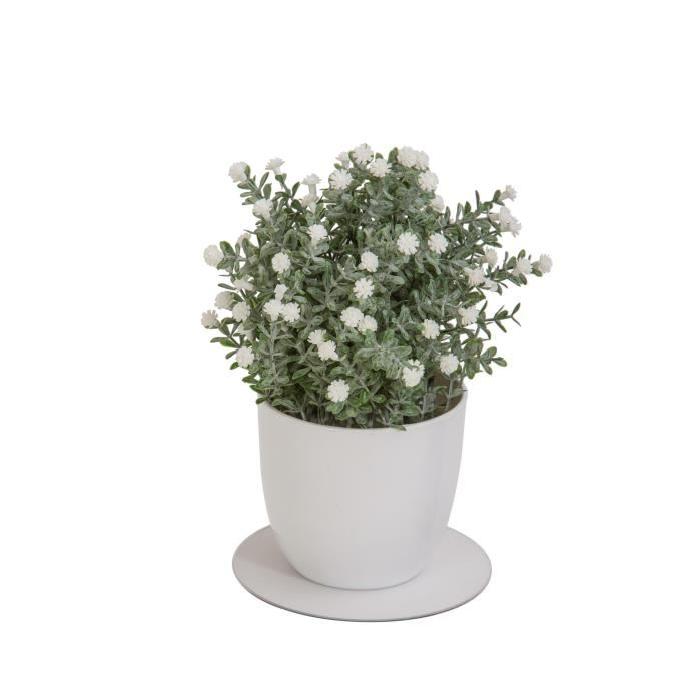 Plante grasse artificielle fleurie Blanche - En pot Blanc - Hauteur 22 cm
