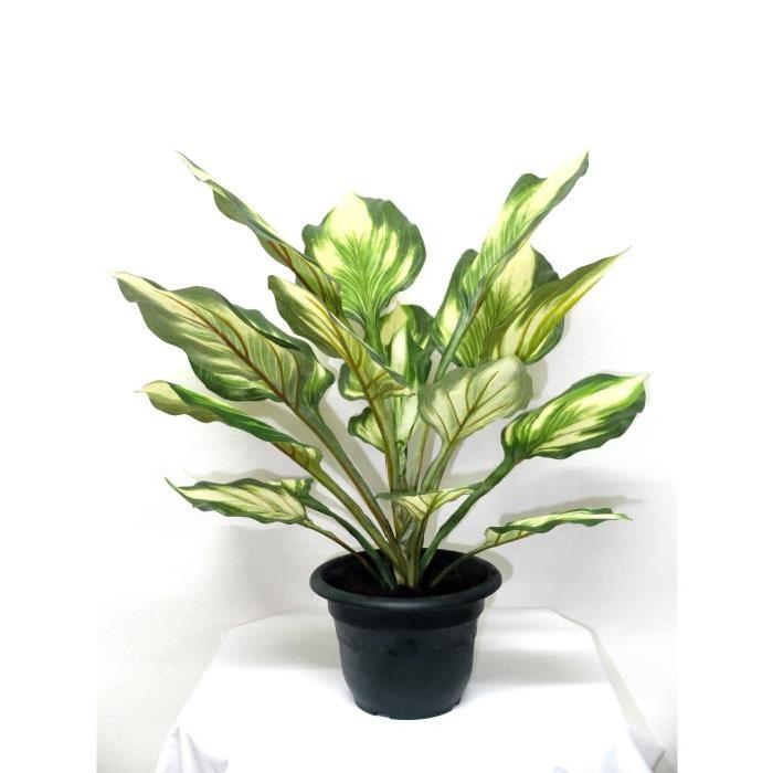 Plante artidicielle de Dieffenbachia en pot - Avec terreau - Vert - Hauteur 55 cm