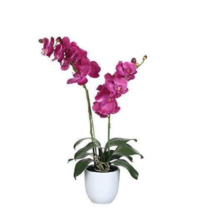 MICA Plante artificielle Phalaenopsis violet en pot - Blanc