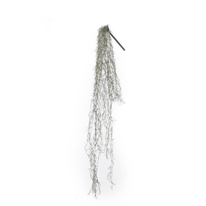 MICA DECORATIONS Lot de 2 Plantes artificielles Tillandsia  - Vert