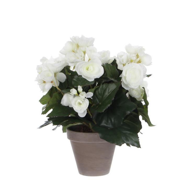 MICA DECORATIONS Plante artificielle Begonia blanc en pot - Gris