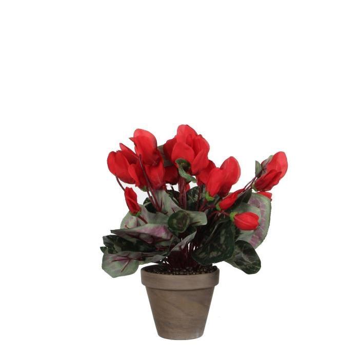 MICA DECORATIONS Plante artificielle Cyclamen rouge en pot stan - Gris