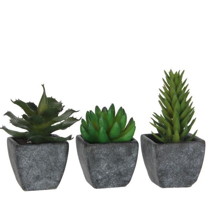 MICA DECORATIONS Lot de 3 Plantes artificielles Succulent en pot - Gris