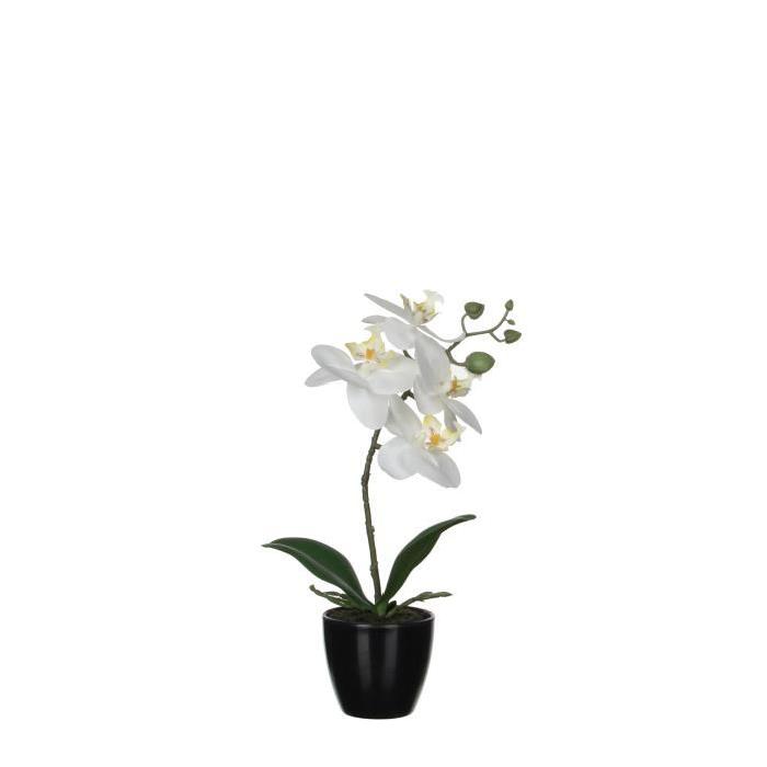 MICA DECORATIONS Lot de 2 Fleurs Phalaenopsis artificielles déco - Creme