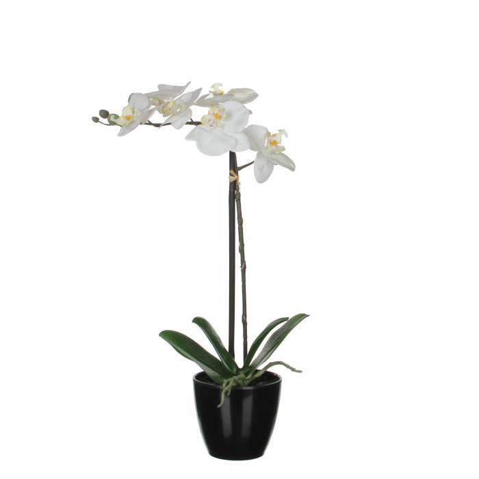 MICA DECORATIONS Fleur artificielle déco Phalaenopsis - Creme