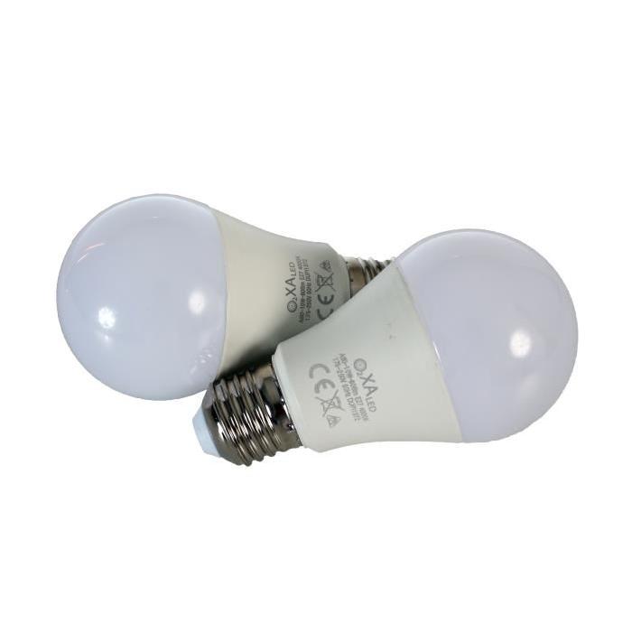 Lot de 2 ampoules LED E27 10 W équivalent a 100 W blanc chaud