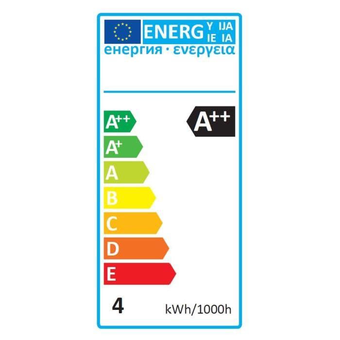 EXPERTLINE Ampoule LED filament E27 ST64 SMD céramique 4W équivalence 36W blanc chaud