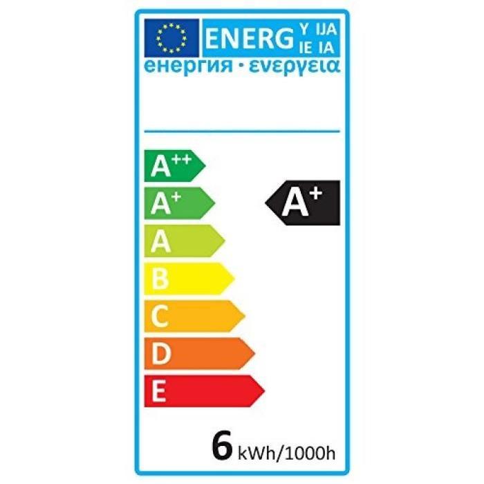 EXPERTLINE Ampoule LED filament E27 G95 SMD 6 W SMD céramique 6 W équivalence 48 W blanc chaud