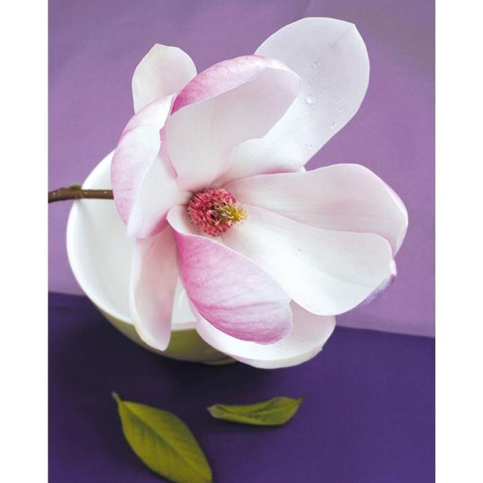 Affiche papier -  Composition Zen : Fleur de Magnolia  - Beyler  -  40x50 cm