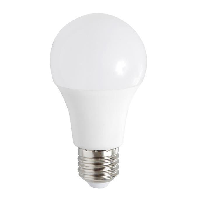 EXPERT LINE Ampoule LED E27 10 W équivalent a 60 W blanc chaud