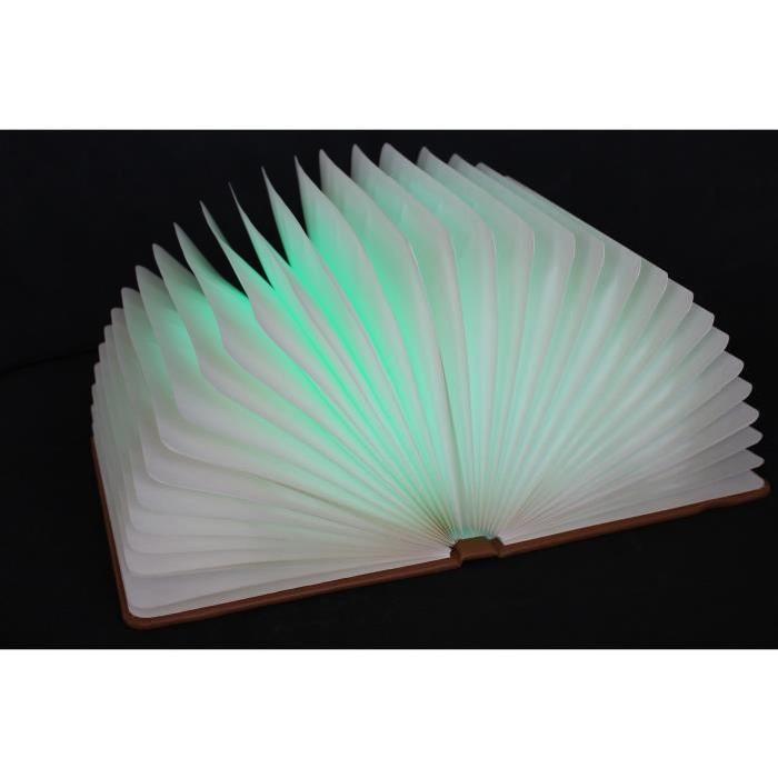 Lampe de table LED Book 20x16x2,2 cm 1,6W équivalent a 40W marron