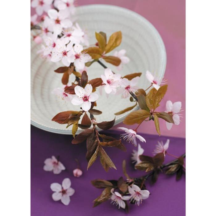Affiche papier -  Composition Zen : Branche de Prunus   - Beyler  -  50x70 cm