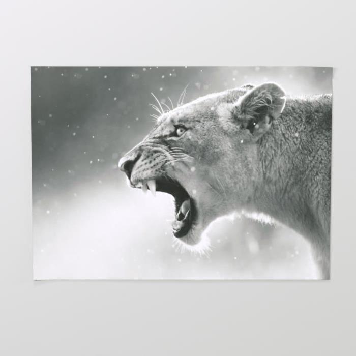 Affiche papier -  Lionne  - Braun Studio  -  50x70 cm