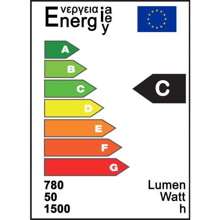 TEC HIT LIGHT Lot de 2 ampoules halogenes GU10 230 V 50 W équivalent a 70 W blanc chaud