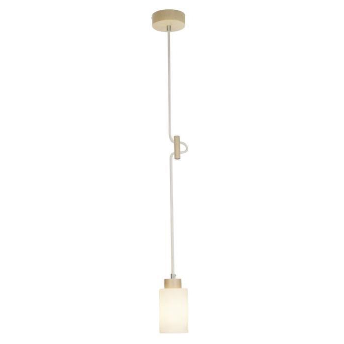 Lustre - suspension a 1 lumiere Nature E27 60W blanc et bouleau