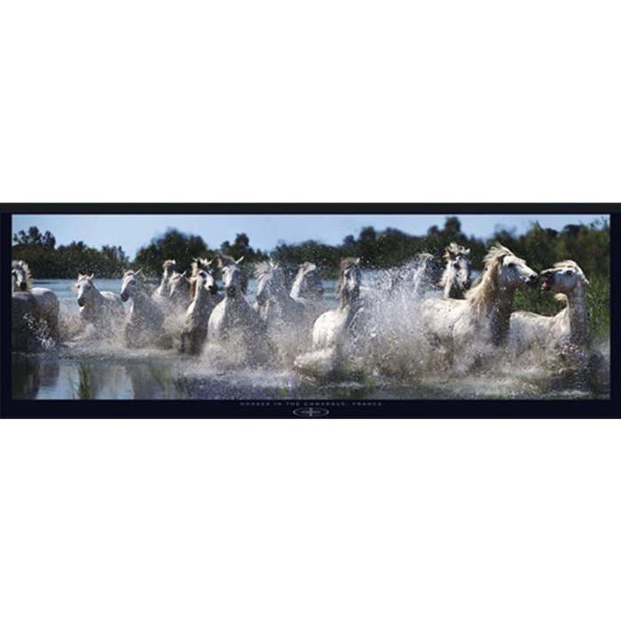 Affiche papier -  Camargue Horses  - Bloom  - 33x95 cm