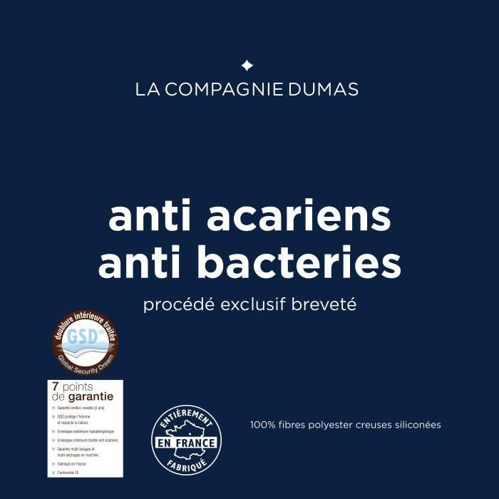 LA COMPAGNIE DUMAS Oreiller anti-allergenes - 60x60 cm