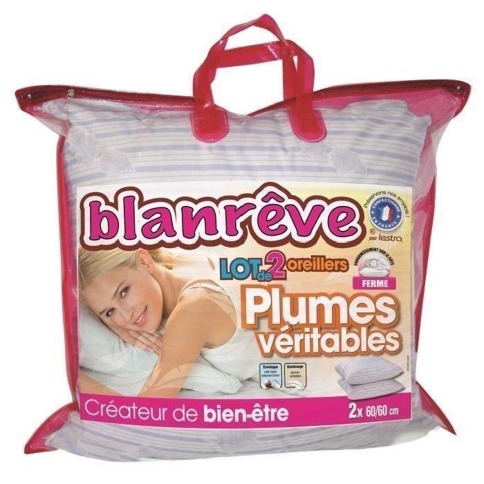 BLANREVE Lot de 2 oreillers PLUMES 60x60cm