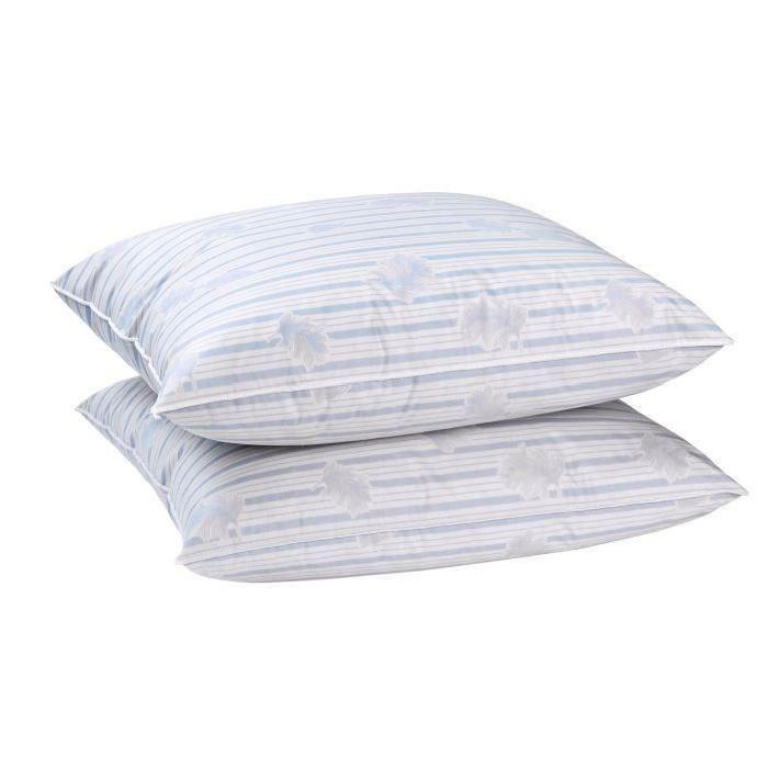 BLANREVE Lot de 2 oreillers PLUMES 60x60cm