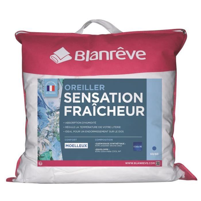 BLANREVE Oreiller Cool in 60x60 cm blanc