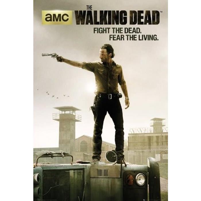 Poster Walking Dead