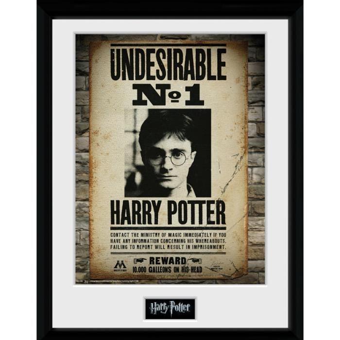 Poster encadré collectorHarry Potter