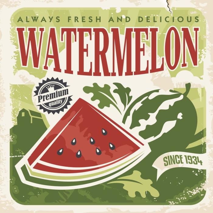 Affiche papier -  Watermelon  - Braun Studio  -  30x30 cm