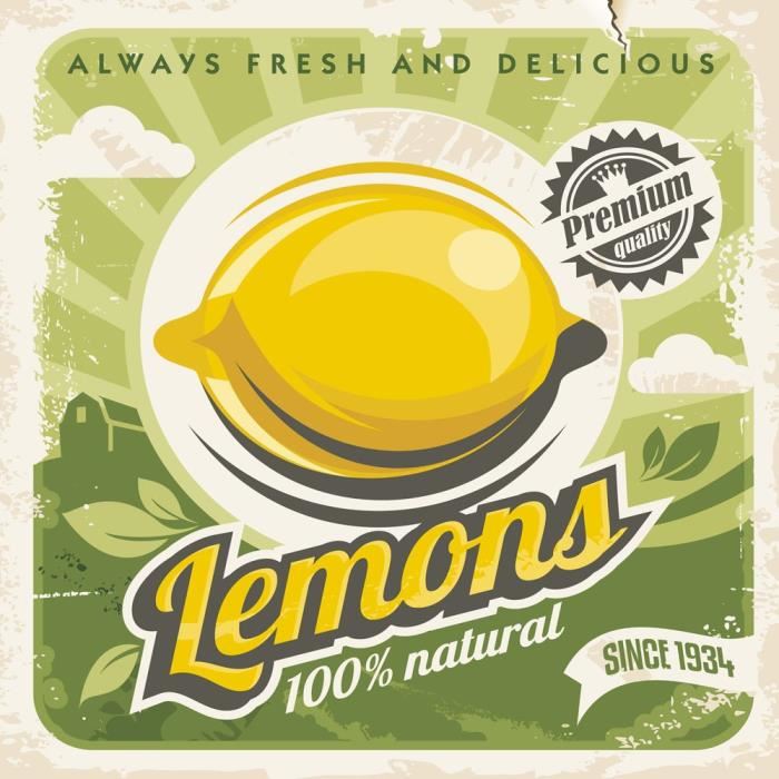 Affiche papier -  Lemons  - Braun Studio  -  30x30 cm