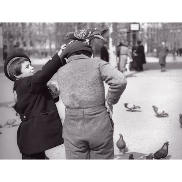 Affiche papier -  Enfants et pigeons  - Jahan  -  30x40 cm