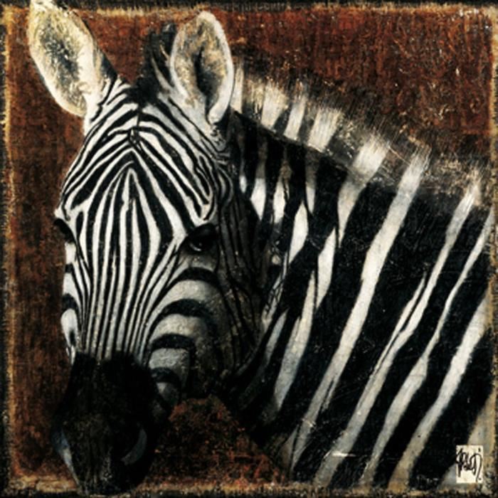 Affiche papier -  Portrait de zebre  - Arietti  -  30x30 cm