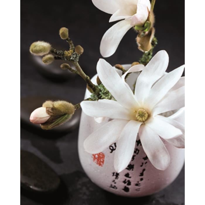 Affiche papier -  Composition Zen : Magnolia Stella.  - Beyler  -  24x30 cm