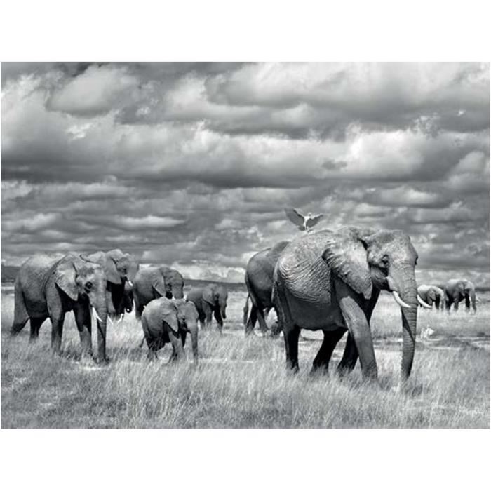 Affiche papier - MARINA CANO (ELEPHANTS OF KENYA)  -  60x80 cm