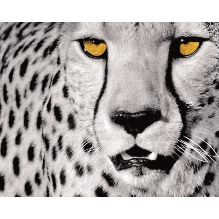 Affiche papier -  White Cheetah  - Sette  - 40x50 cm