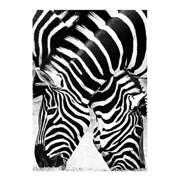 Affiche papier -  Two Zebras  - Peluchetti  - 60x80 cm