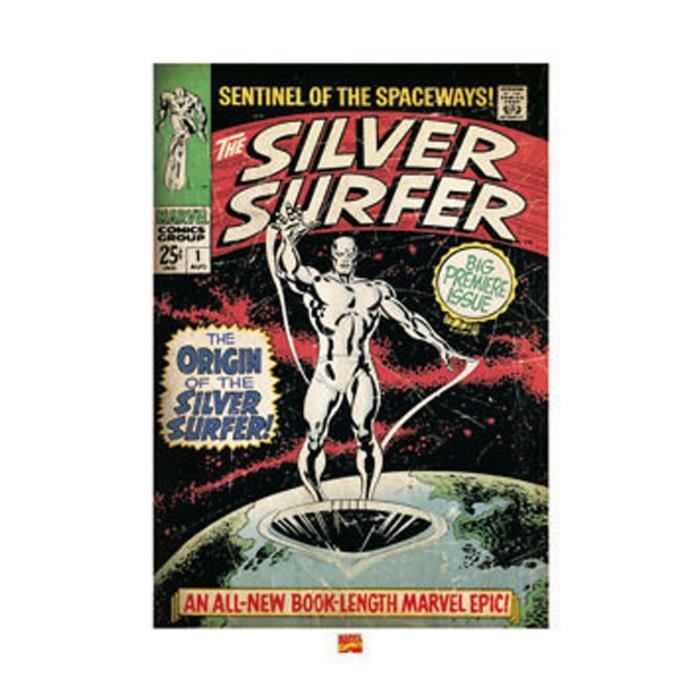 Affiche papier -  Silver Surfer (The Origin)  - Anonyme  -  60x80 cm