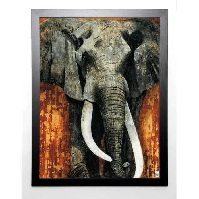 ARIETTI FABIENNE Image encadrée Eléphant 67x87 cm Gris