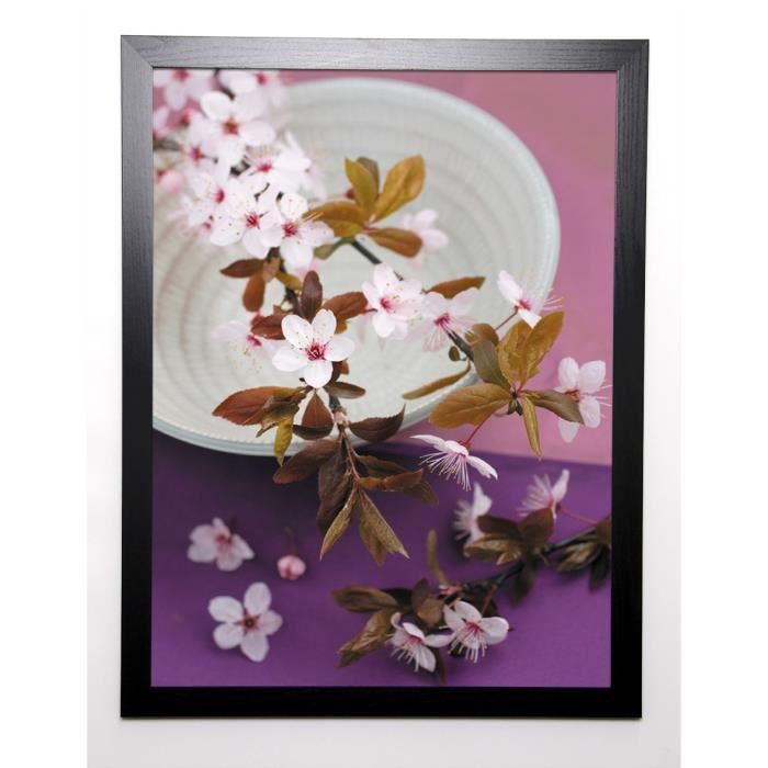 BEYLER CATHERINE Image encadrée Composition Zen : Branche de Prunus sur coupe 57x77 cm Violet