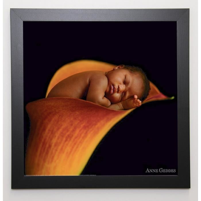 GEDDES ANNE Image encadrée Bébé arum 57x57 cm Rouge