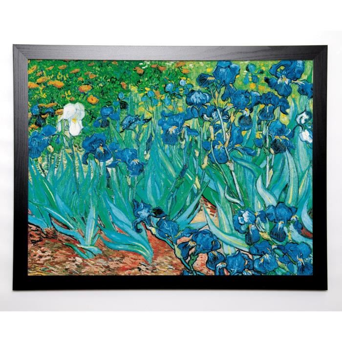 GOGH VAN VINCENT Image encadrée Iris 67x87 cm Vert